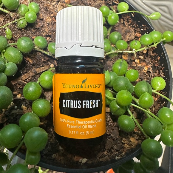 Young Living Other - *Buy Now Priced* Young Living Citrus Fresh